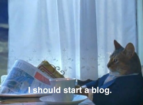 I should buy a boat cat meme changed to &ldquo;I should start a blog&rdquo;